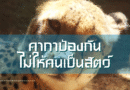 คาถาป้องกันไม่ให้คนเป็นสัตว์