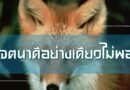 เจตนาดีอย่างเดียวไม่พอ