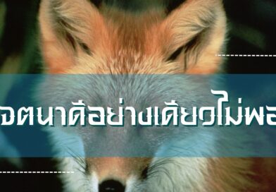 เจตนาดีอย่างเดียวไม่พอ